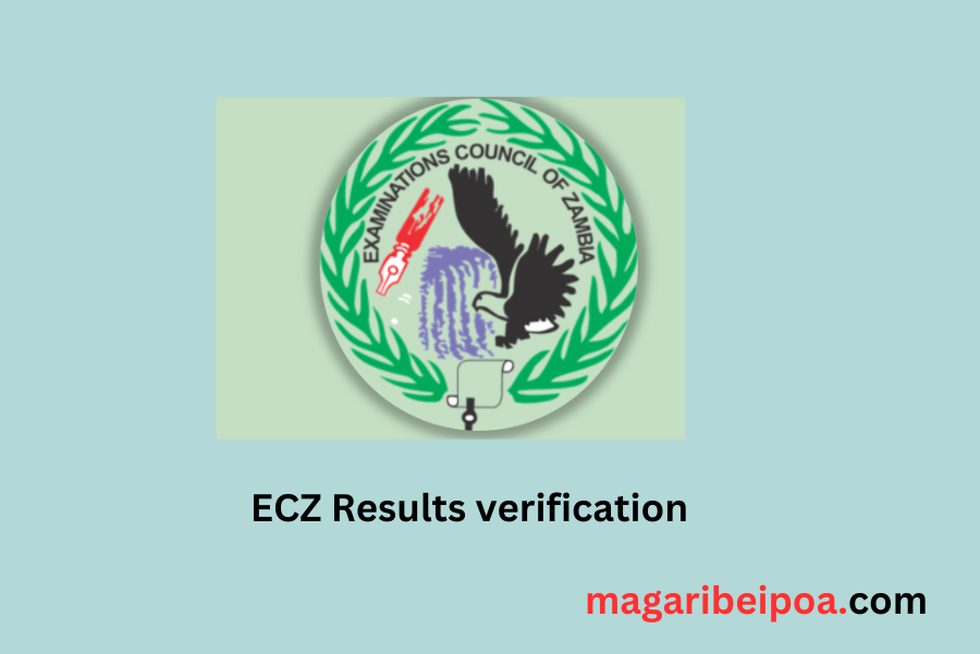 How to pay for ECZ Results verification