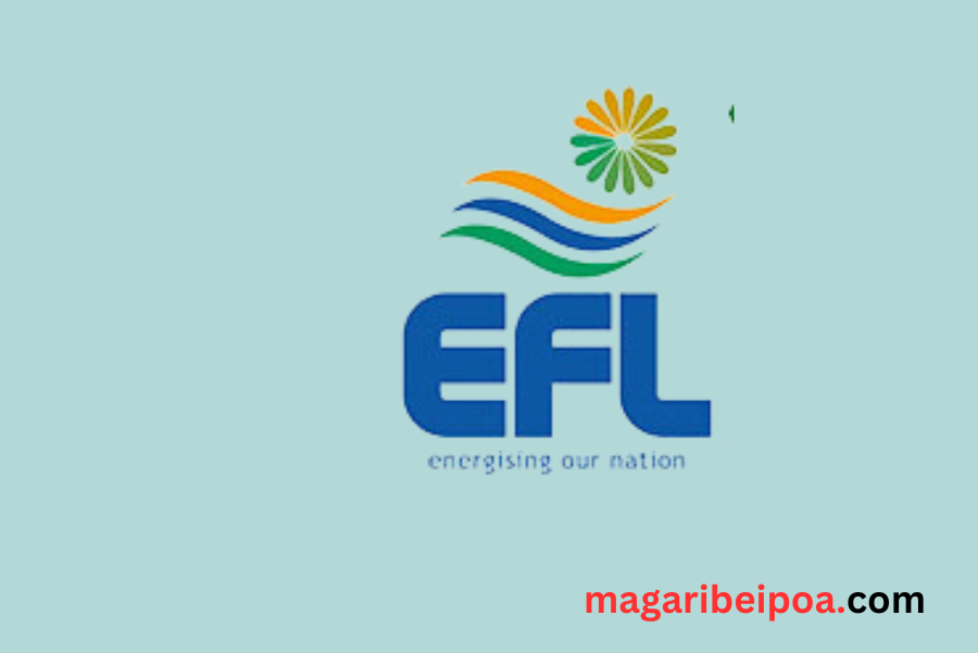 How to check EFL Bill on phone FIJI