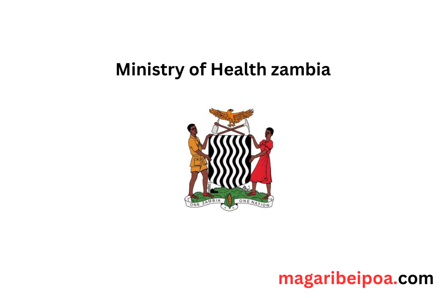 How to check Names of recruited health workers Zambia 2023 