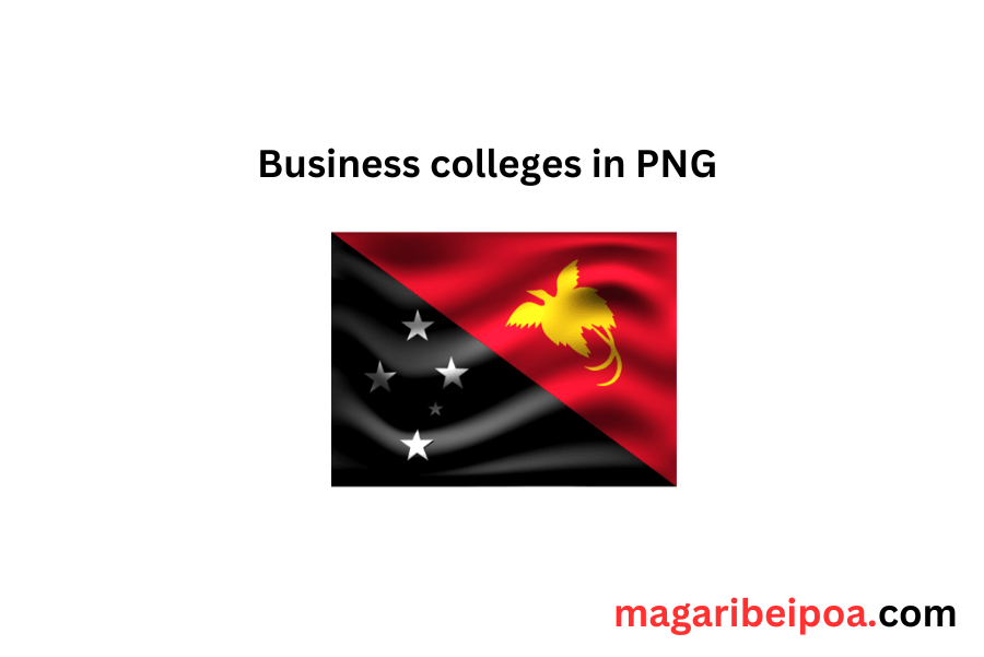 List of business colleges in Papua new guinea