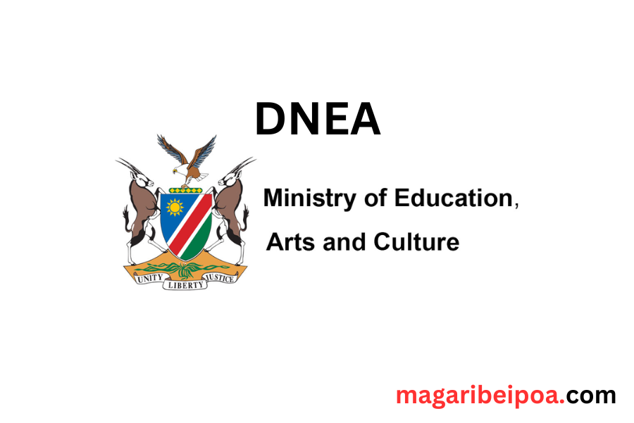 DNEA Exam results 2024/2025 magaribeipoa