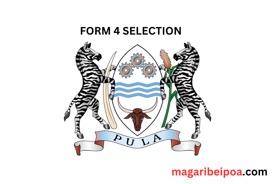 How to check Form 4 placement 2024 Botswana