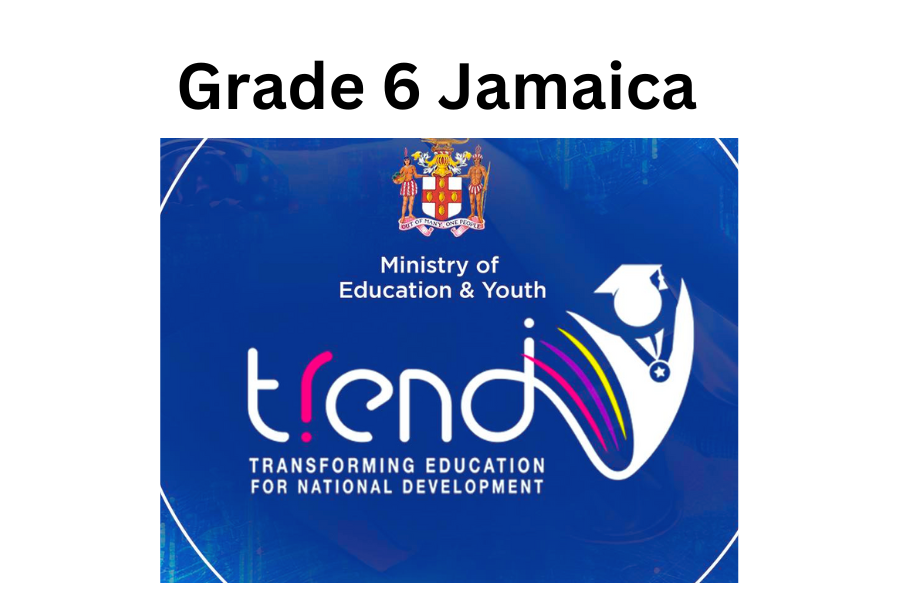 Grade 6 PEP Results 2024