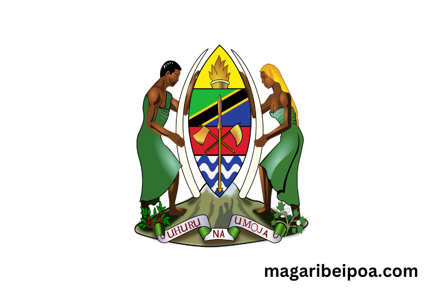 mfumo wa tausi tamisemi 