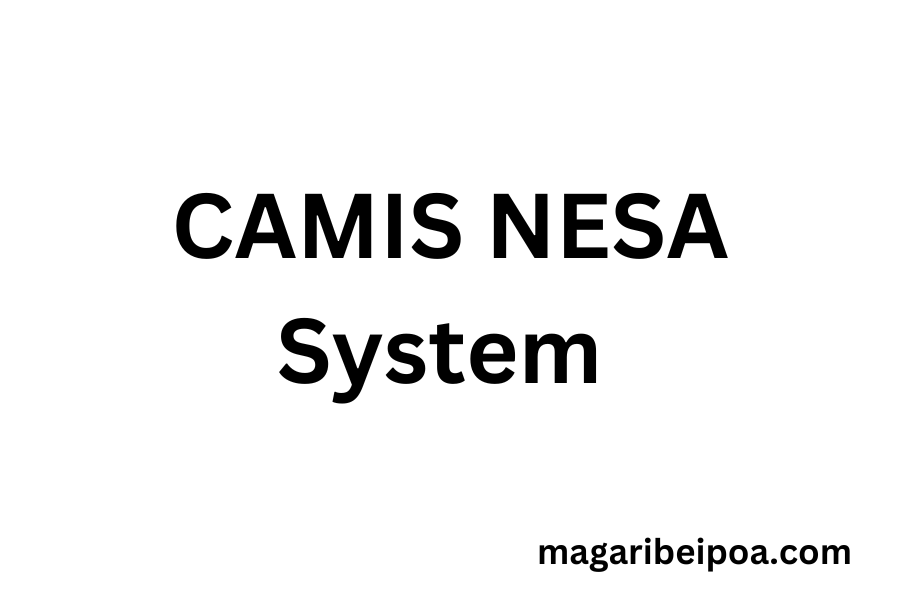 CAMIS Nesa system Rwanda