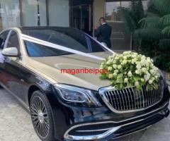 CAR RENTAL (KODI GARI NASI) - 4