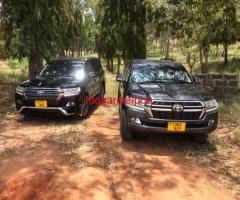 Magari ya kukodi/ car rental - 2