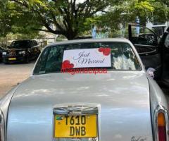 Kodi Magari nasi - 2